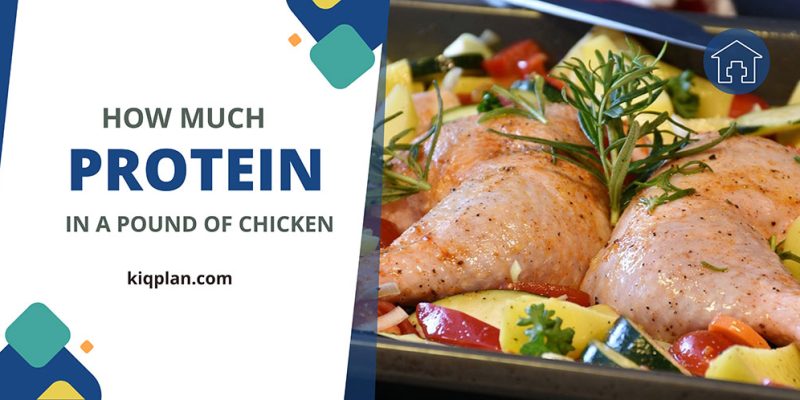 How Much Protein in a Pound of Chicken